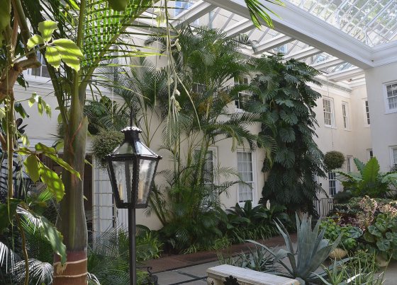 The interior view of the Peirce du Pont house in bright sunlight. 